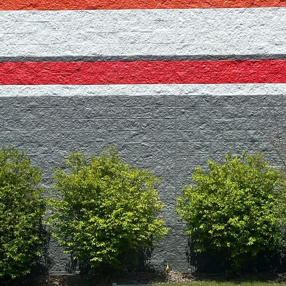 Meet your Posher, Payton - Picture 1 of 1